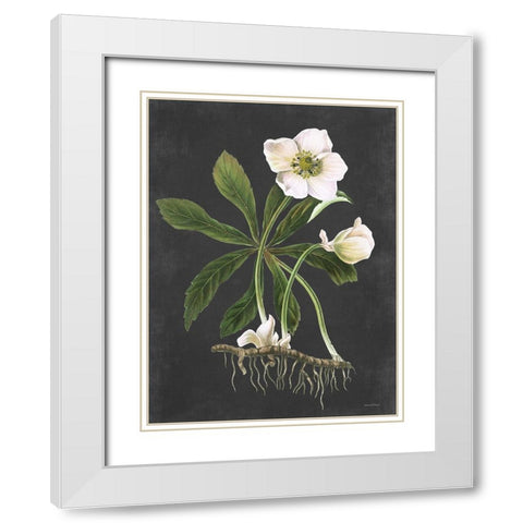 Hellebore White Modern Wood Framed Art Print with Double Matting by Lettered and Lined