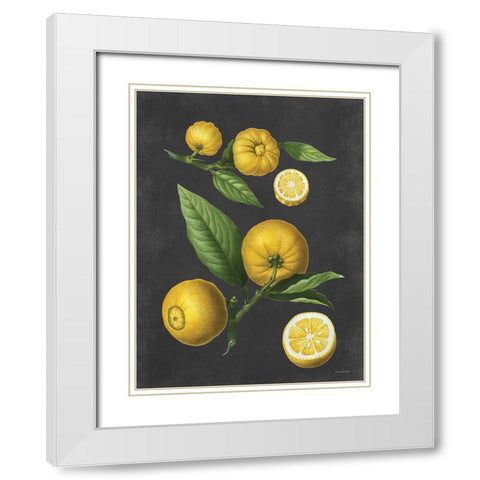 Lemon Citrus White Modern Wood Framed Art Print with Double Matting by Lettered and Lined