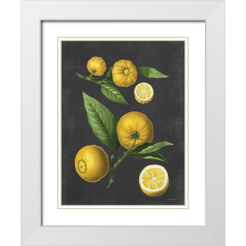 Lemon Citrus White Modern Wood Framed Art Print with Double Matting by Lettered and Lined