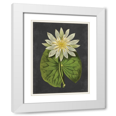 Lily White Modern Wood Framed Art Print with Double Matting by Lettered and Lined