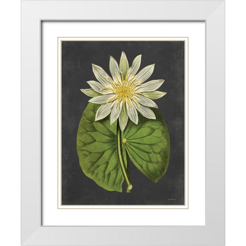 Lily White Modern Wood Framed Art Print with Double Matting by Lettered and Lined