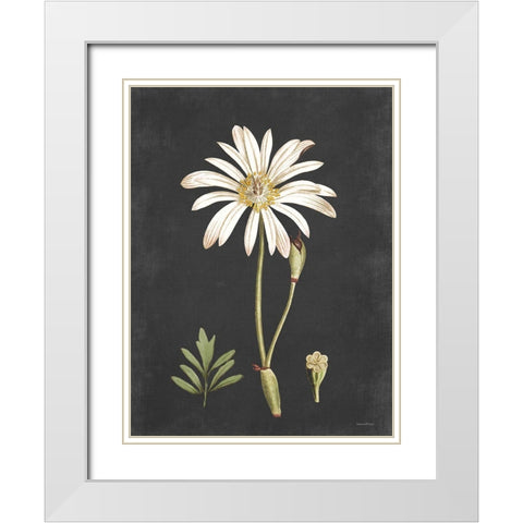 Naturalist Bloom Study White Modern Wood Framed Art Print with Double Matting by Lettered And Lined