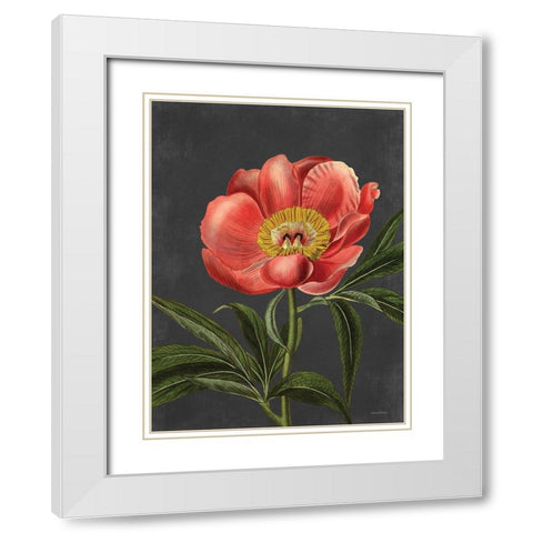 Peony White Modern Wood Framed Art Print with Double Matting by Lettered and Lined