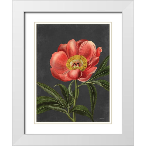 Peony White Modern Wood Framed Art Print with Double Matting by Lettered and Lined