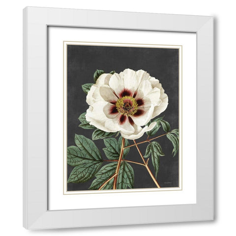 Vintage Rose White Modern Wood Framed Art Print with Double Matting by Lettered and Lined