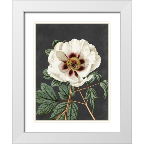 Vintage Rose White Modern Wood Framed Art Print with Double Matting by Lettered and Lined