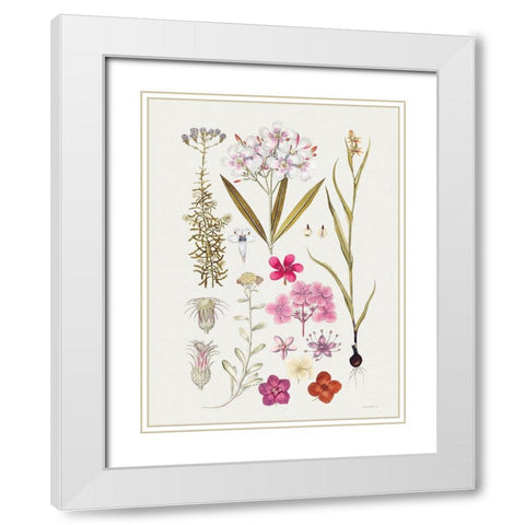 Vintage Bloom Study White Modern Wood Framed Art Print with Double Matting by Lettered And Lined