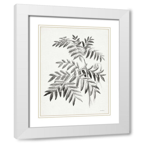 Leaf Illustration I White Modern Wood Framed Art Print with Double Matting by Lettered And Lined