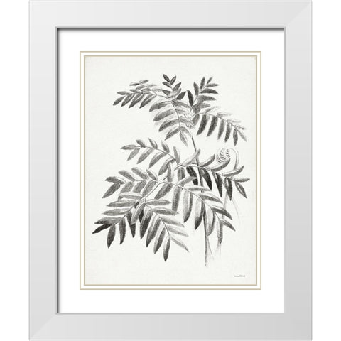 Leaf Illustration I White Modern Wood Framed Art Print with Double Matting by Lettered And Lined