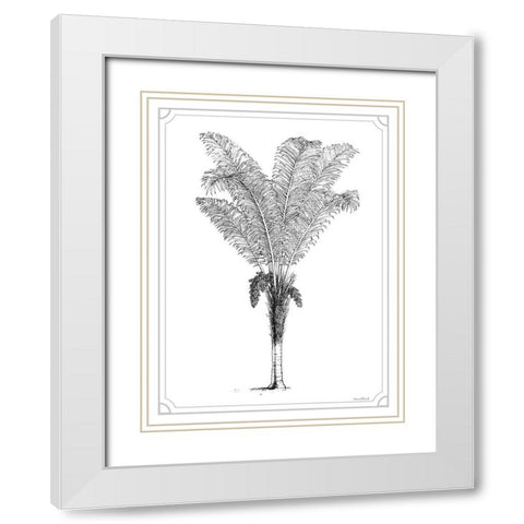 Timeless Palm White Modern Wood Framed Art Print with Double Matting by Lettered And Lined