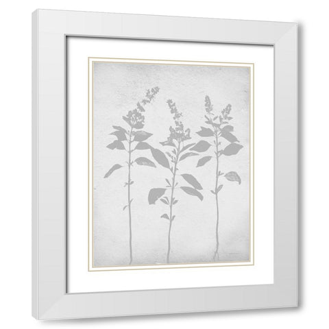 Retreat Botanical 7 White Modern Wood Framed Art Print with Double Matting by Lettered and Lined