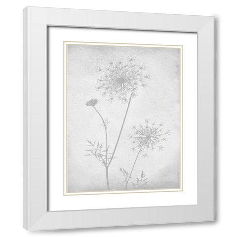 Retreat Botanical 11 White Modern Wood Framed Art Print with Double Matting by Lettered and Lined