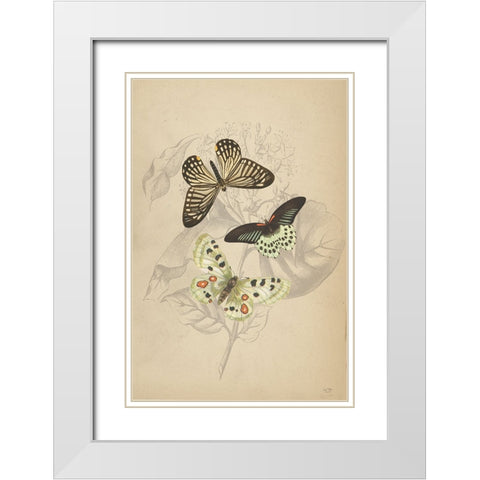 Butterfly Trio White Modern Wood Framed Art Print with Double Matting by Lux + Me Designs