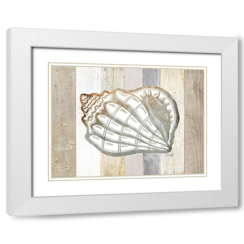 Coastal Shell I White Modern Wood Framed Art Print with Double Matting by Rae, Marla