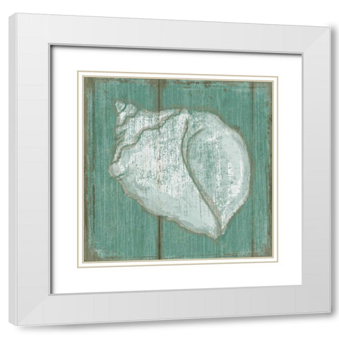 Seashell White Modern Wood Framed Art Print with Double Matting by Mollie B.