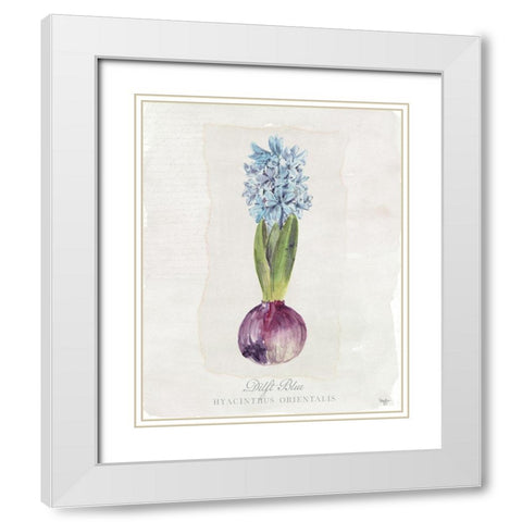 Hyacinthus Orientalis I White Modern Wood Framed Art Print with Double Matting by Mollie B.