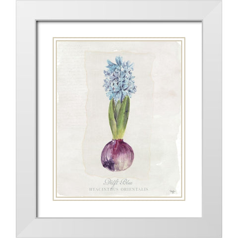 Hyacinthus Orientalis I White Modern Wood Framed Art Print with Double Matting by Mollie B.