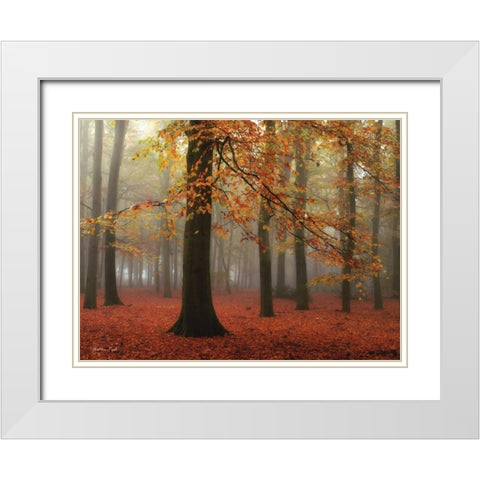 Miss Misty White Modern Wood Framed Art Print with Double Matting by Podt, Martin