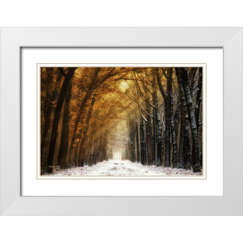 Autumn to Winter White Modern Wood Framed Art Print with Double Matting by Podt, Martin