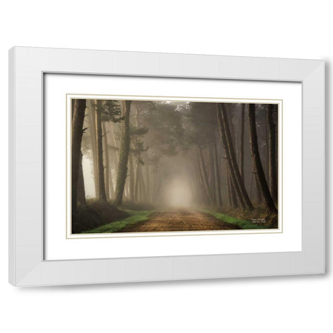 Misty Morning White Modern Wood Framed Art Print with Double Matting by Podt, Martin