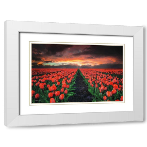 Endless Fields White Modern Wood Framed Art Print with Double Matting by Podt, Martin
