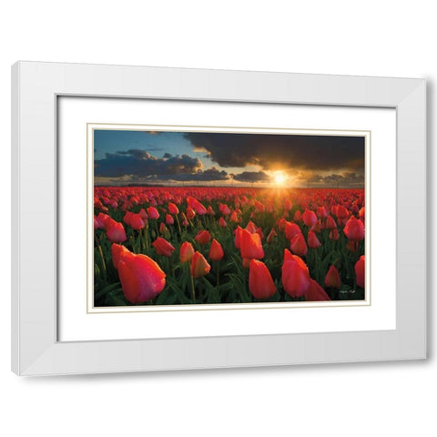 Tulips at Sunset White Modern Wood Framed Art Print with Double Matting by Podt, Martin