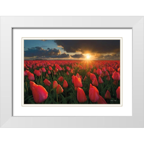 Tulips at Sunset White Modern Wood Framed Art Print with Double Matting by Podt, Martin