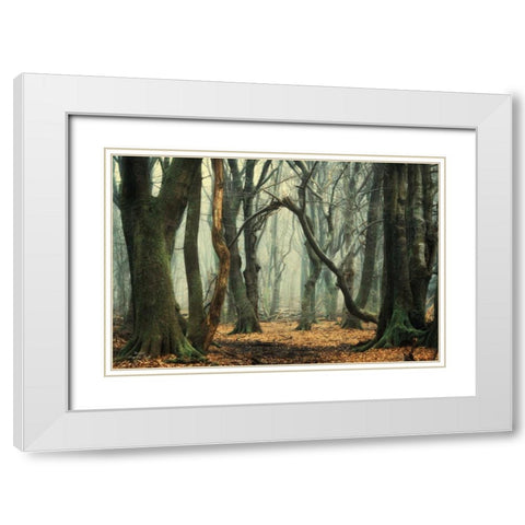 Broken White Modern Wood Framed Art Print with Double Matting by Podt, Martin