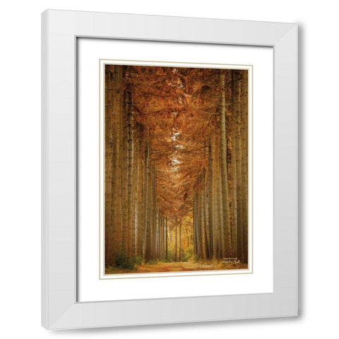 Unexpected White Modern Wood Framed Art Print with Double Matting by Podt, Martin