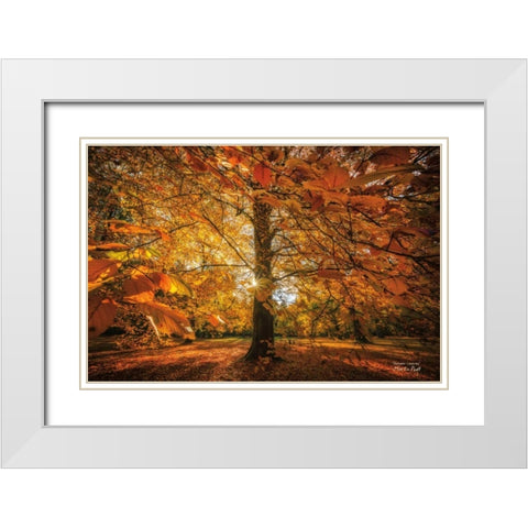 Autumn Leaves White Modern Wood Framed Art Print with Double Matting by Podt, Martin