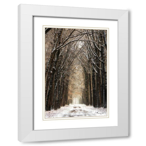 Winter White Modern Wood Framed Art Print with Double Matting by Podt, Martin