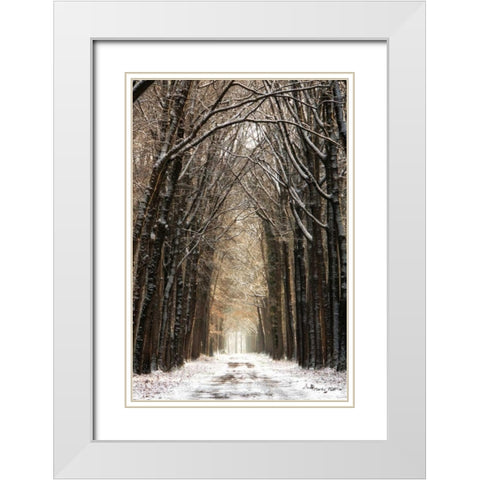 Winter White Modern Wood Framed Art Print with Double Matting by Podt, Martin