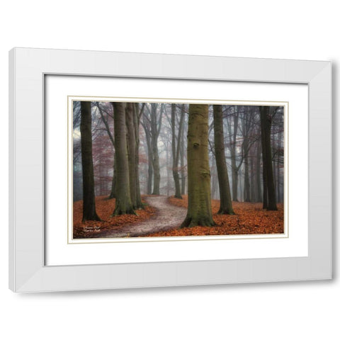 Autumn Path White Modern Wood Framed Art Print with Double Matting by Podt, Martin