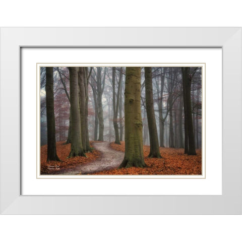 Autumn Path White Modern Wood Framed Art Print with Double Matting by Podt, Martin