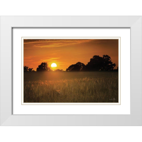Fields of Gold White Modern Wood Framed Art Print with Double Matting by Podt, Martin