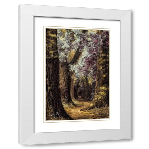 Fluffy Road White Modern Wood Framed Art Print with Double Matting by Podt, Martin