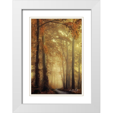 The Path of Liberation White Modern Wood Framed Art Print with Double Matting by Podt, Martin