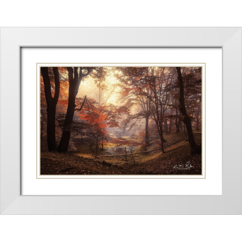 The Pool White Modern Wood Framed Art Print with Double Matting by Podt, Martin