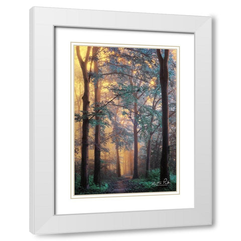 Wonderland White Modern Wood Framed Art Print with Double Matting by Podt, Martin