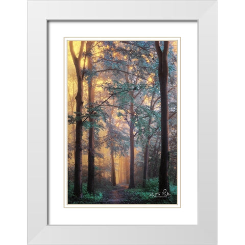 Wonderland White Modern Wood Framed Art Print with Double Matting by Podt, Martin