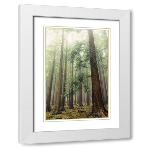 The Friendly Giants White Modern Wood Framed Art Print with Double Matting by Podt, Martin