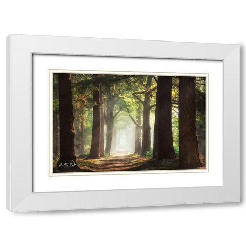 Fresh Green Forest White Modern Wood Framed Art Print with Double Matting by Podt, Martin