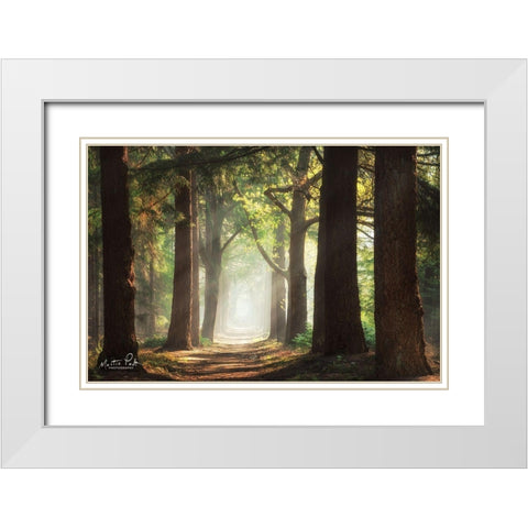Fresh Green Forest White Modern Wood Framed Art Print with Double Matting by Podt, Martin