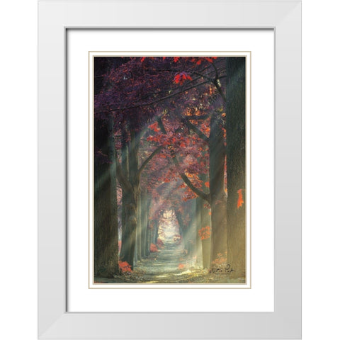 Path of Happiness White Modern Wood Framed Art Print with Double Matting by Podt, Martin