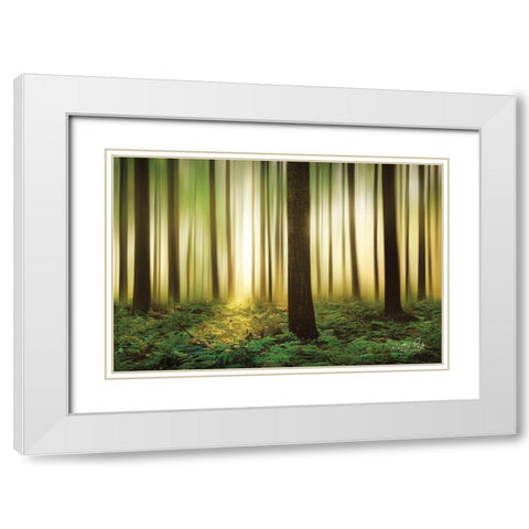 Forest in Motion White Modern Wood Framed Art Print with Double Matting by Podt, Martin
