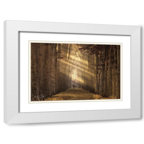 Walking the Dog Again White Modern Wood Framed Art Print with Double Matting by Podt, Martin