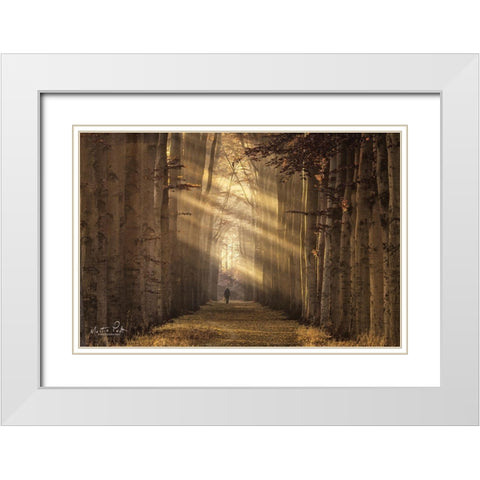 Walking the Dog Again White Modern Wood Framed Art Print with Double Matting by Podt, Martin