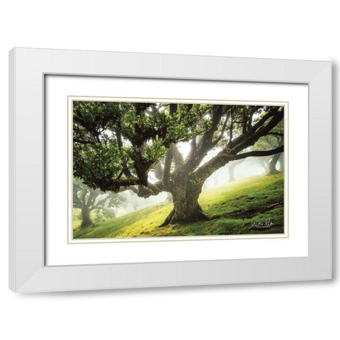 King of the Forest     White Modern Wood Framed Art Print with Double Matting by Podt, Martin