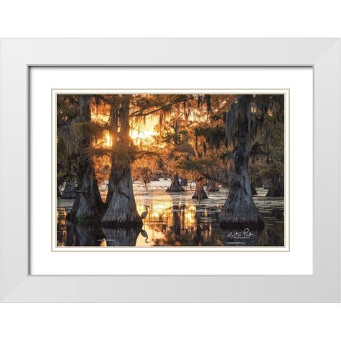 Sunset in the Swamps White Modern Wood Framed Art Print with Double Matting by Podt, Martin