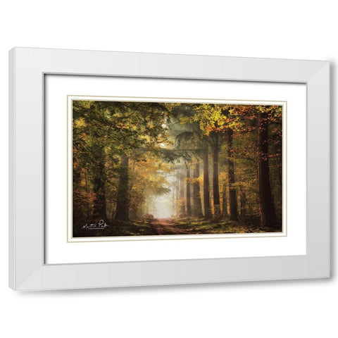 Lush White Modern Wood Framed Art Print with Double Matting by Podt, Martin